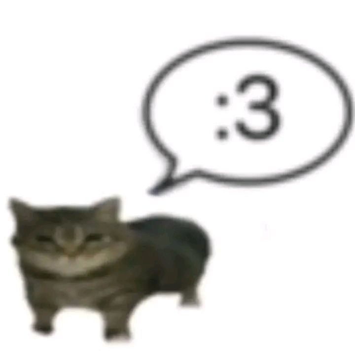 cat is ':3'