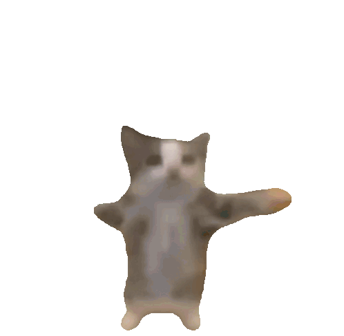 cat is jumping